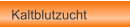Kaltblutzucht
