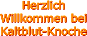 Herzlich Willkommen bei Kaltblut-Knoche