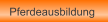 Pferdeausbildung